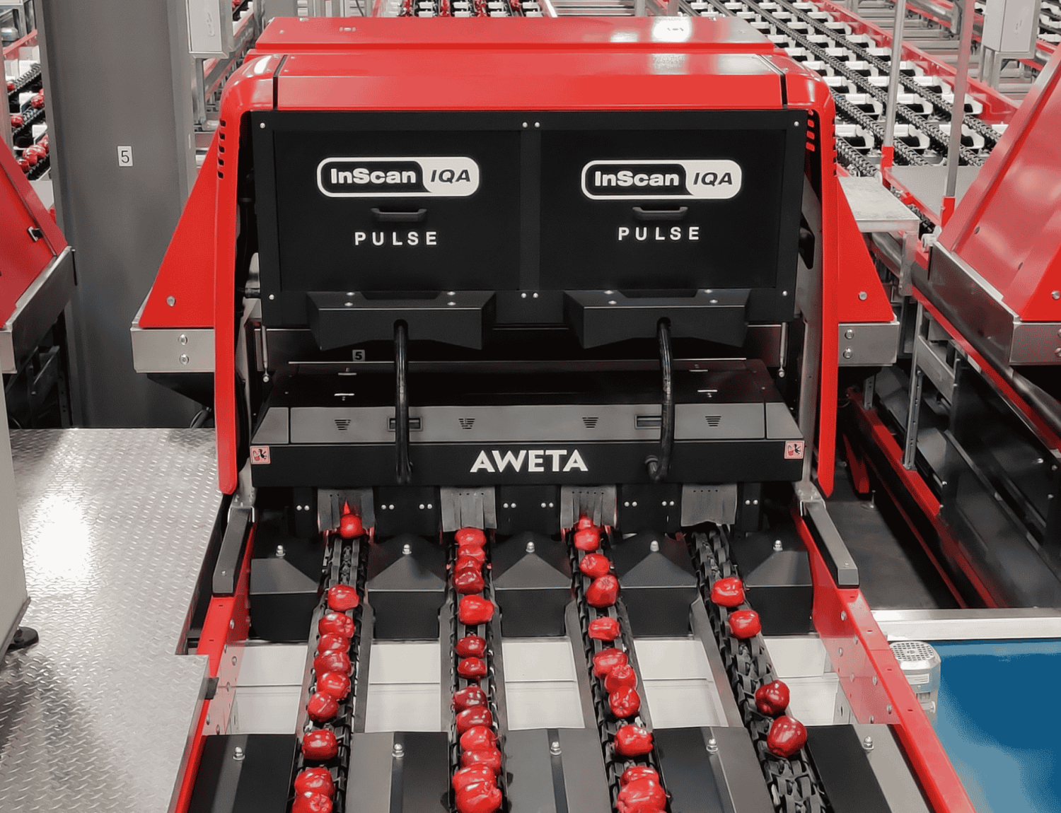 Aweta-Technologie Inscan Pulse