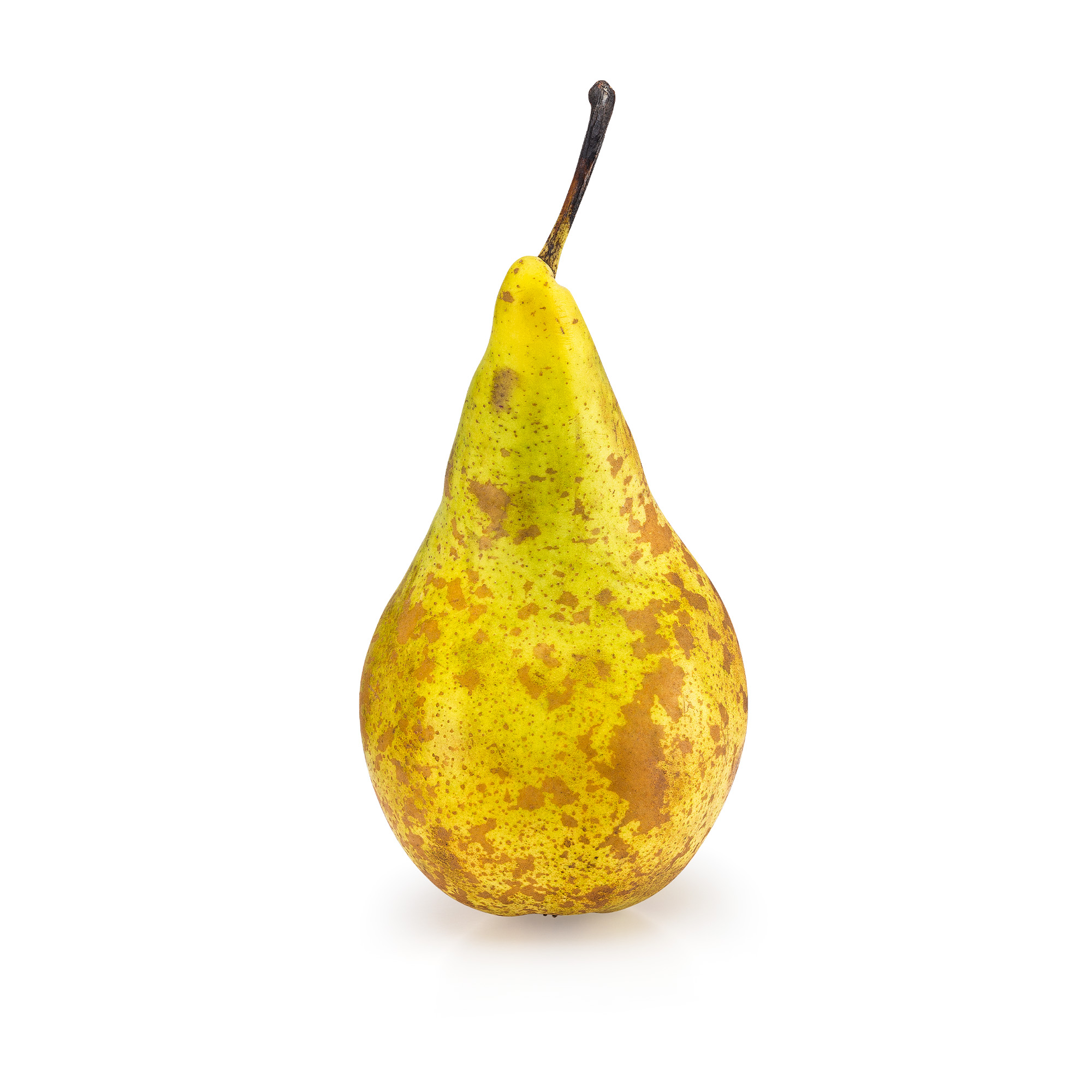 Aweta industry leading project fruit icon