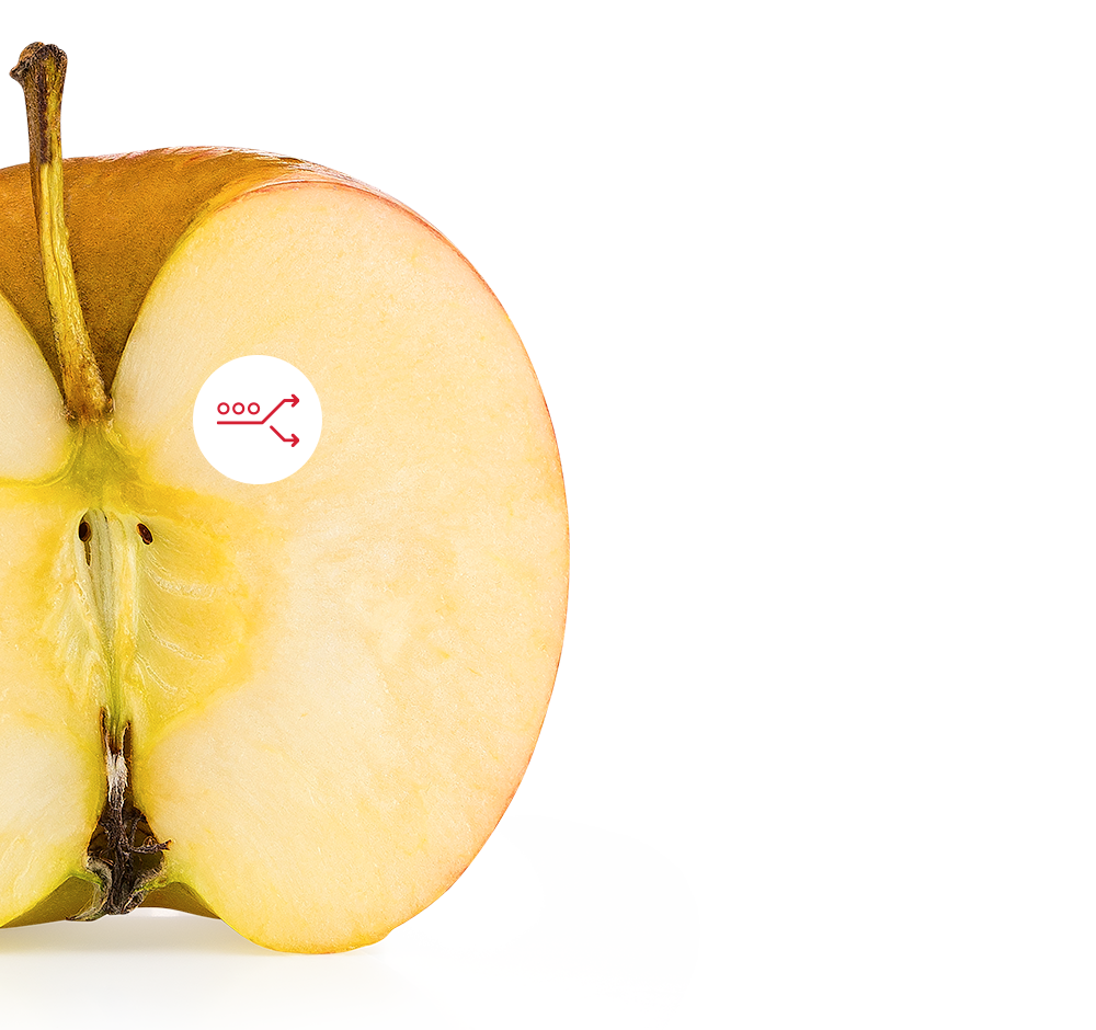 Sichern Sie die innere Qualität Ihrer Erzeugnisse