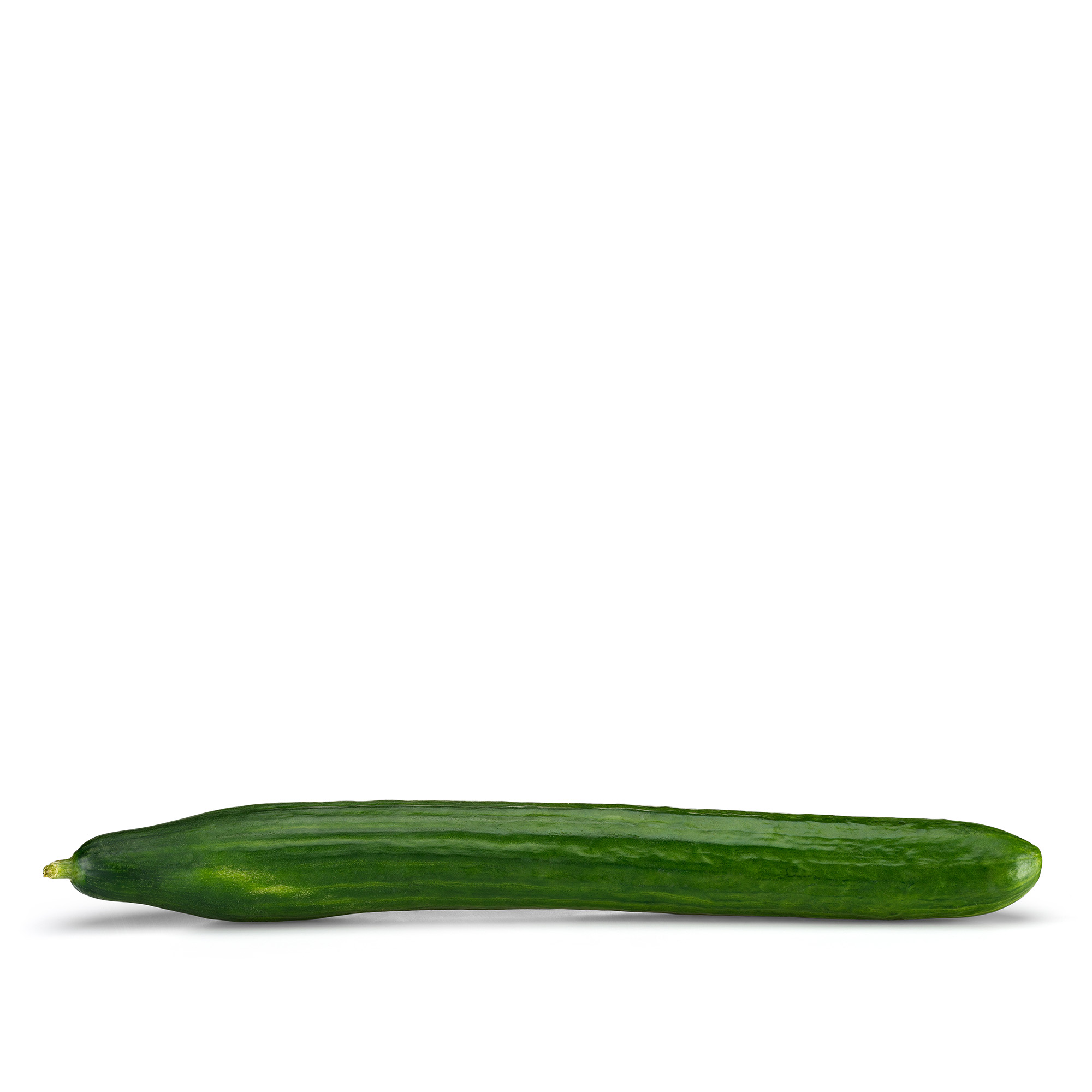 Coltiva il tuo cetriolo