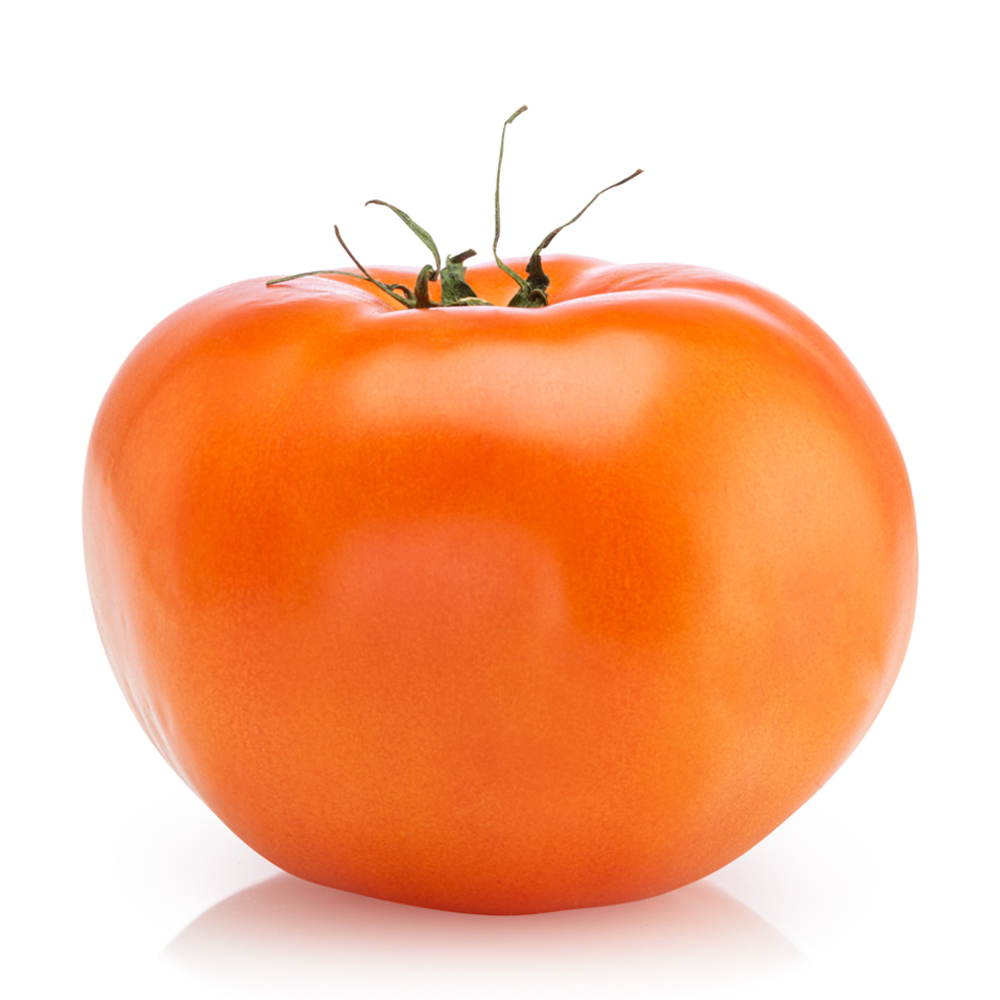Coltiva i tuoi pomodori