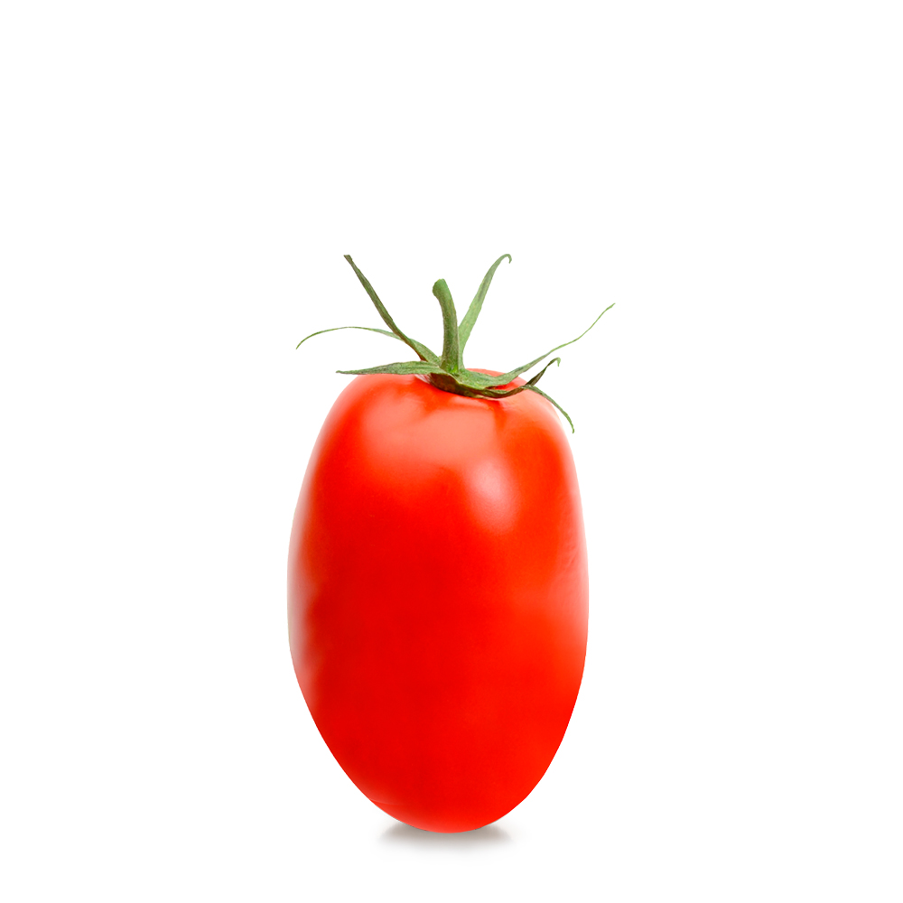 Coltiva i tuoi pomodori