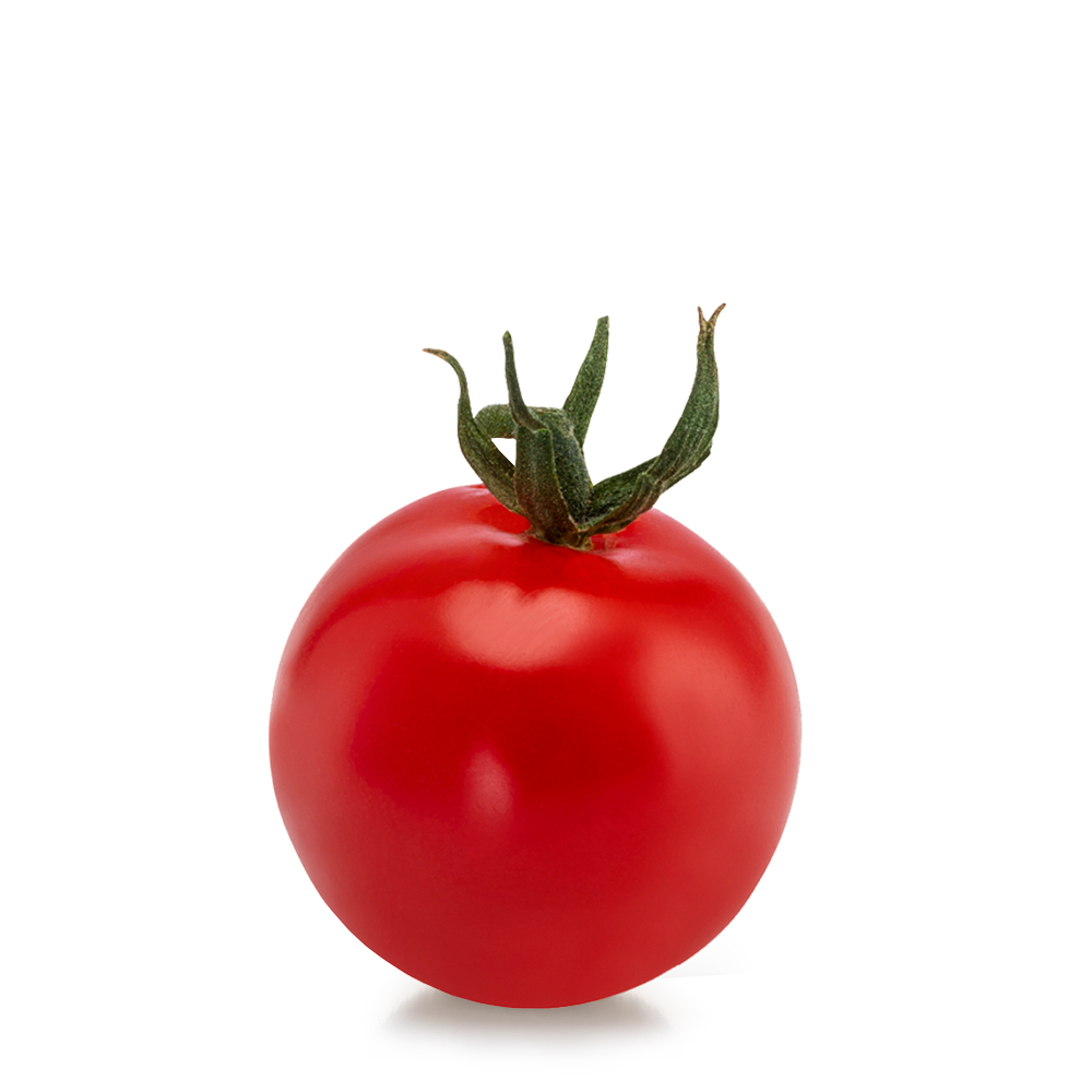 Coltiva i tuoi pomodori