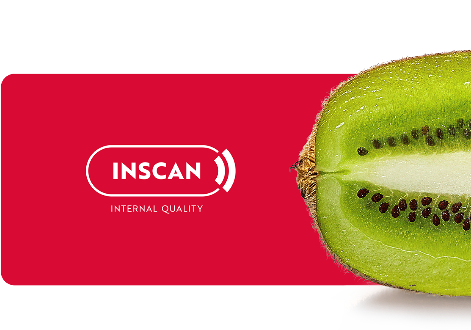 Aweta effettua il controllo della qualità interna dei kiwi tramite scansione