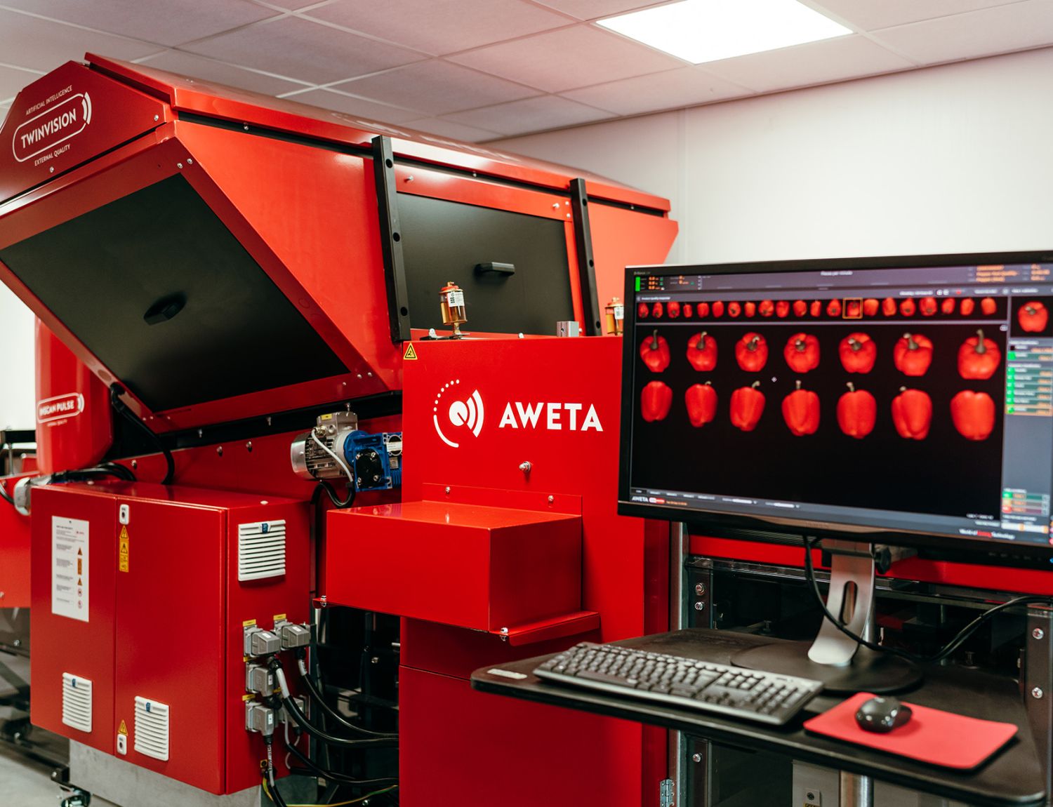 Externe Sortierung mit Aweta-Technologie