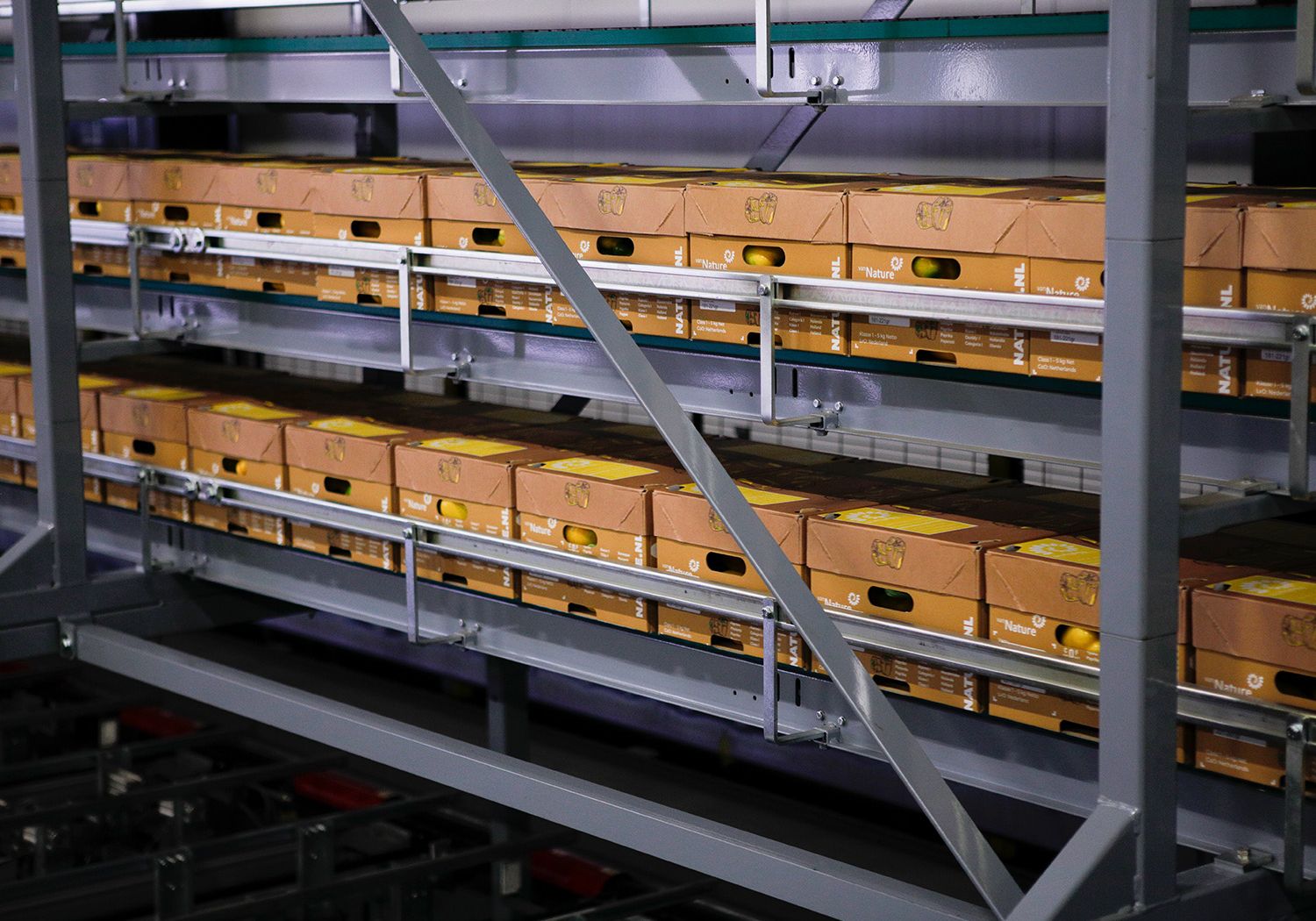 Aweta: logistica di confezionamento dei manghi con Accuveyor