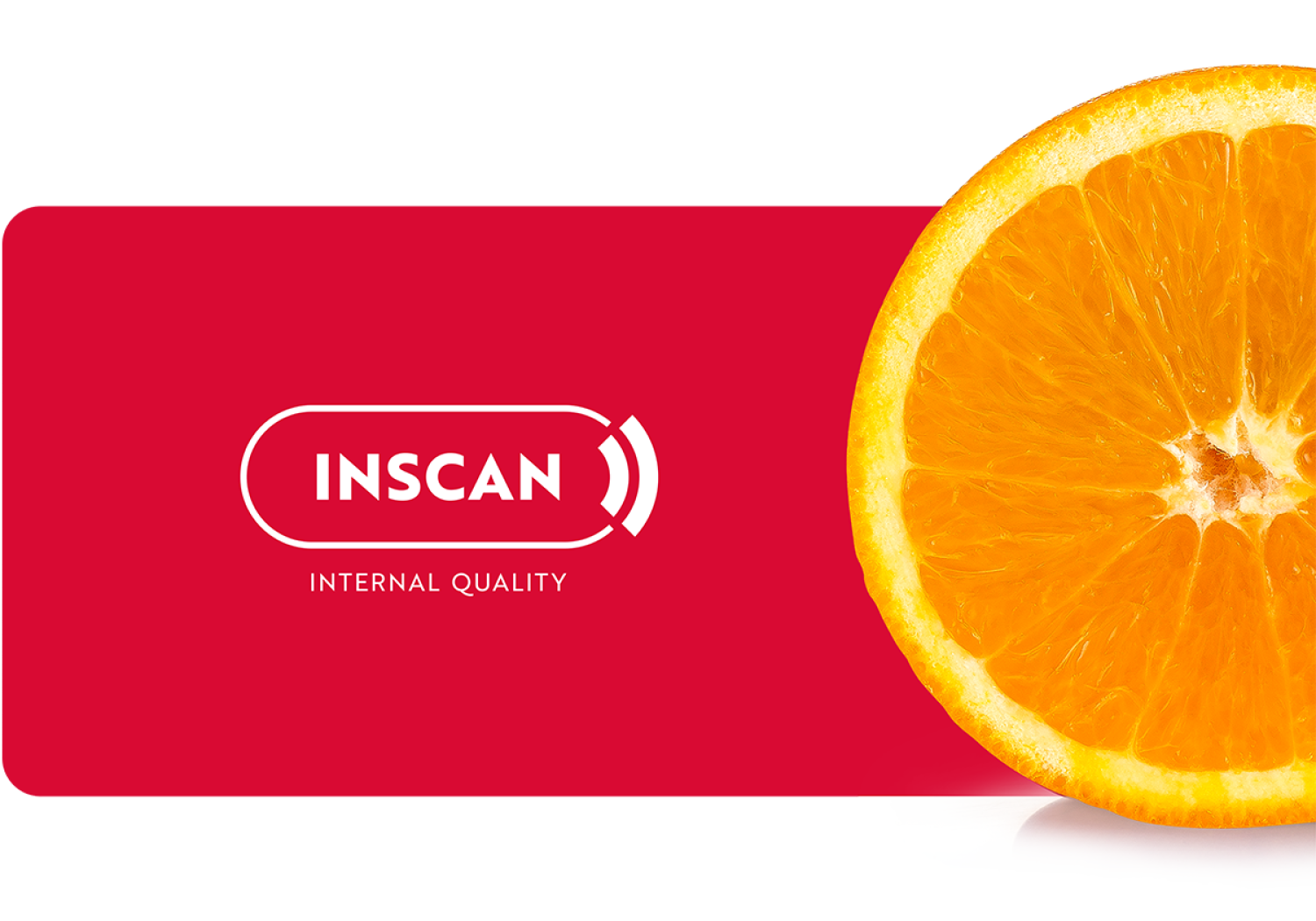 Aweta voert een interne kwaliteitscontrole van citrusvruchten uit met behulp van inscan