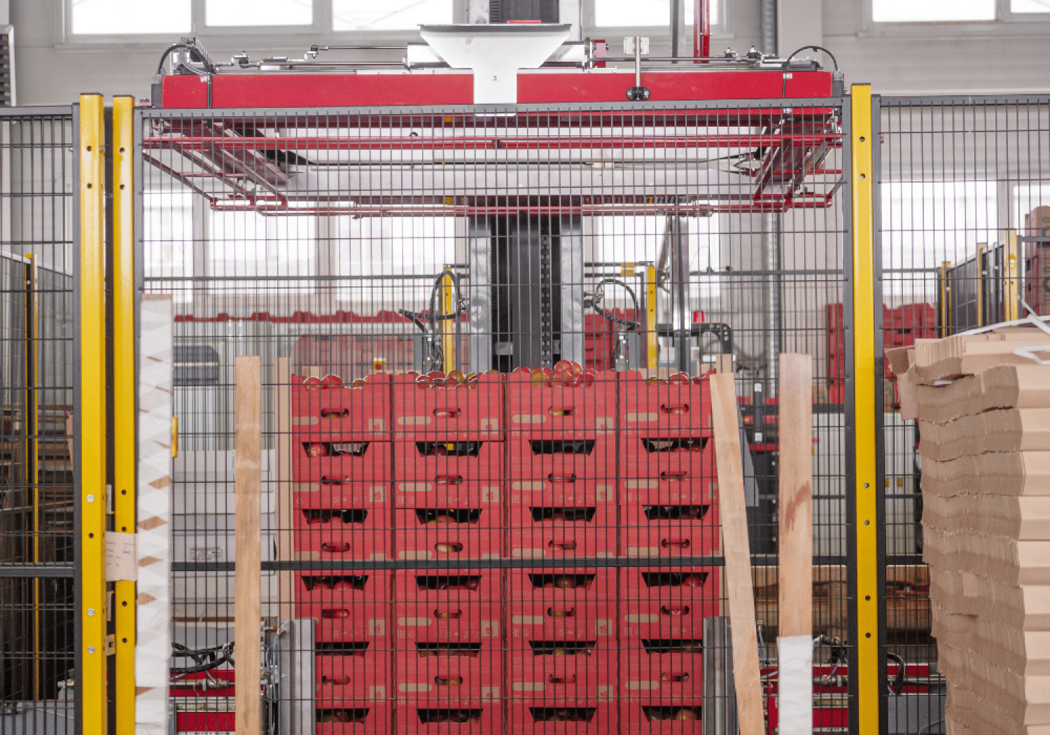 Aweta: logistica di confezionamento dei pomodori - Pallettizzazione