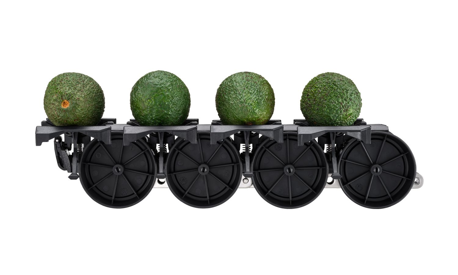 Aweta-Sensor zur Sortierung von Avocados – Rollerstar