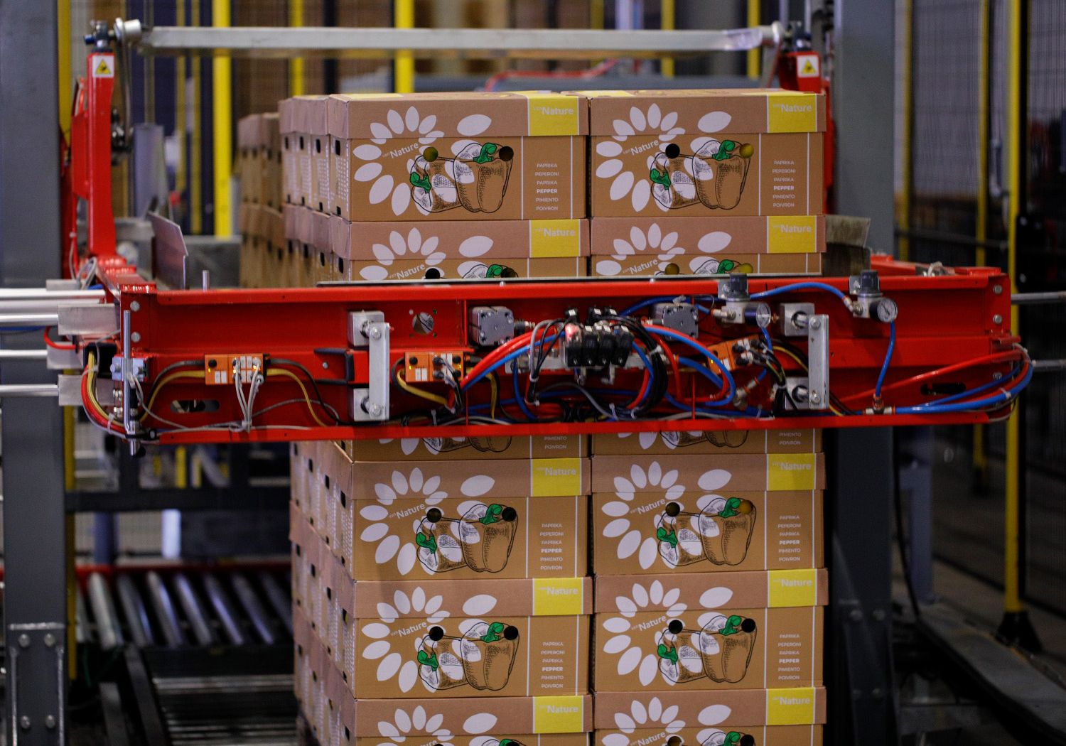 Aweta: logistica di imballaggio dei manghi - Pallettizzazione