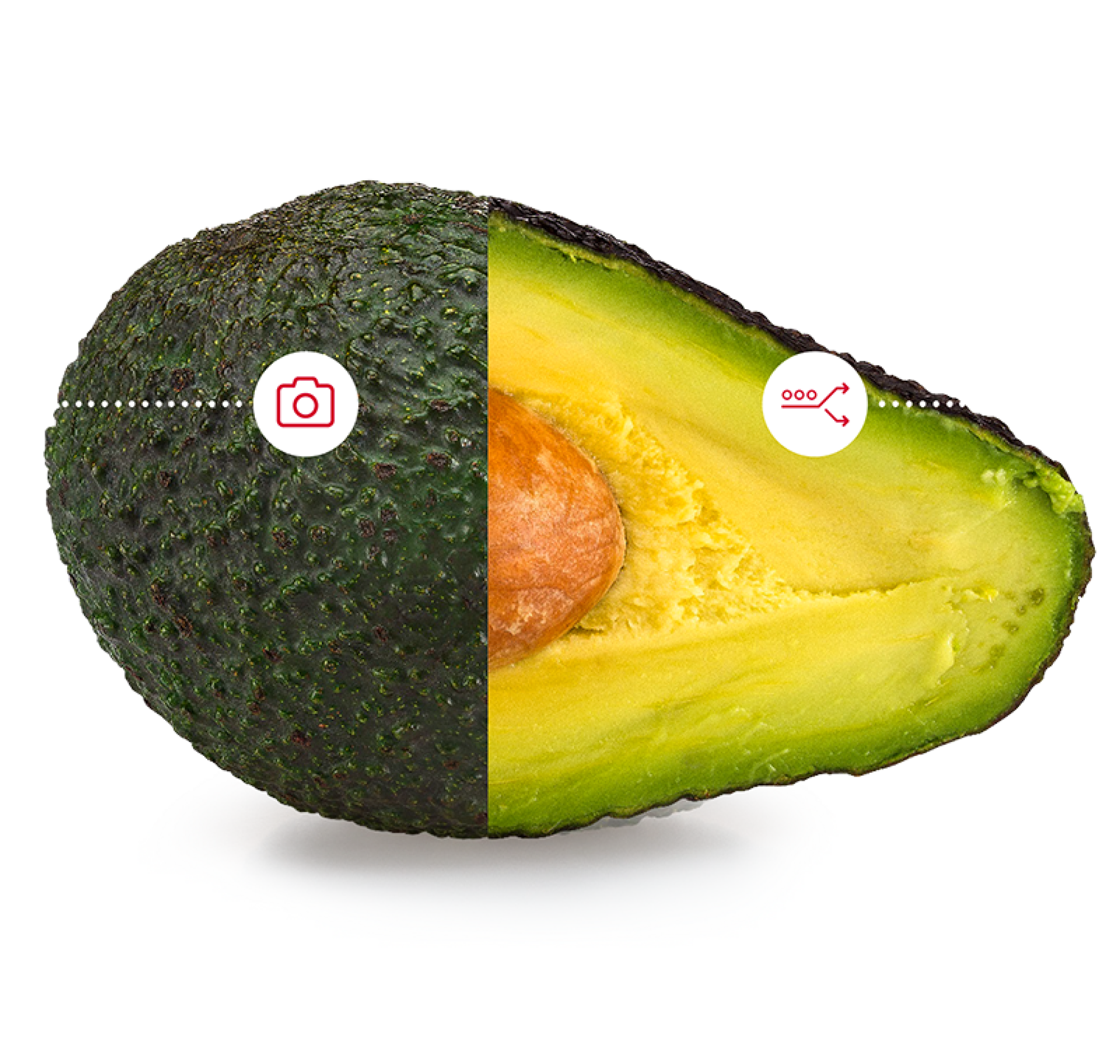 Aweta: Halbiere deine Avocado in zwei Hälften