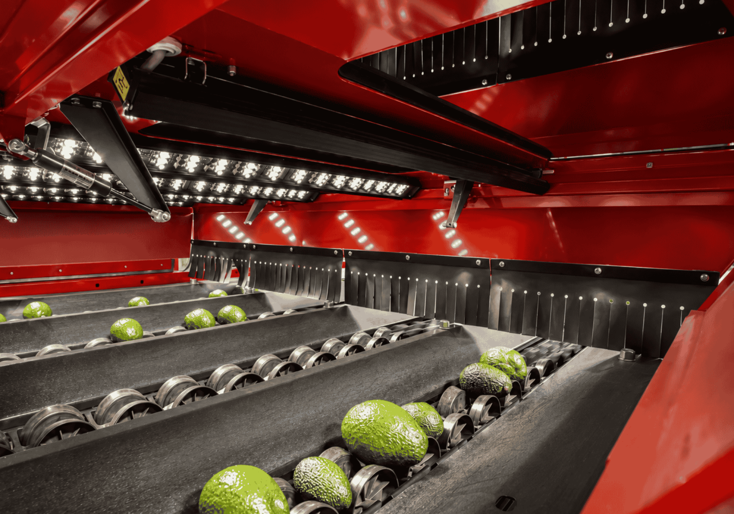 Aweta ermittelt die äußere Qualität von Avocados mit TwinVision