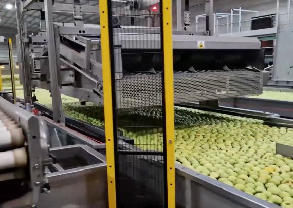 Aweta liefert branchenführende „Rollerstar“-Apfelverpackungsanlage nach Mexiko