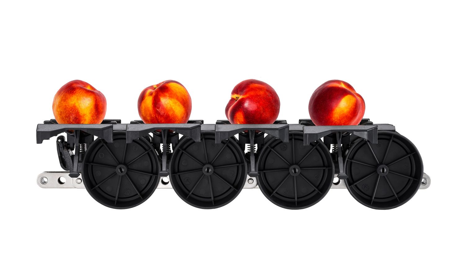 Aweta-Sensor zur Sortierung von Steinobst – Rollerstar