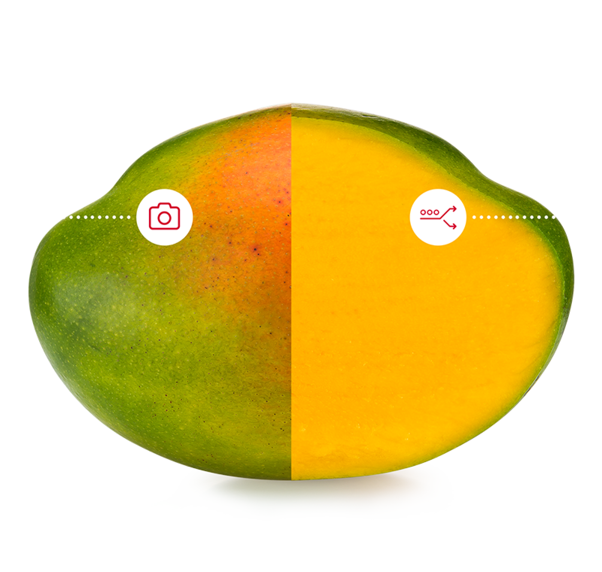Aweta, taglia il tuo mango a metà