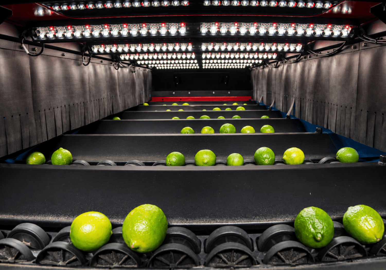 Aweta bepaalt de uiterlijke kwaliteit van citrusvruchten met UltraVision