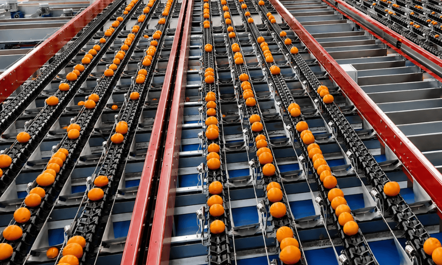Aweta-sensor voor het sorteren van citrusvruchten: Rollerstar