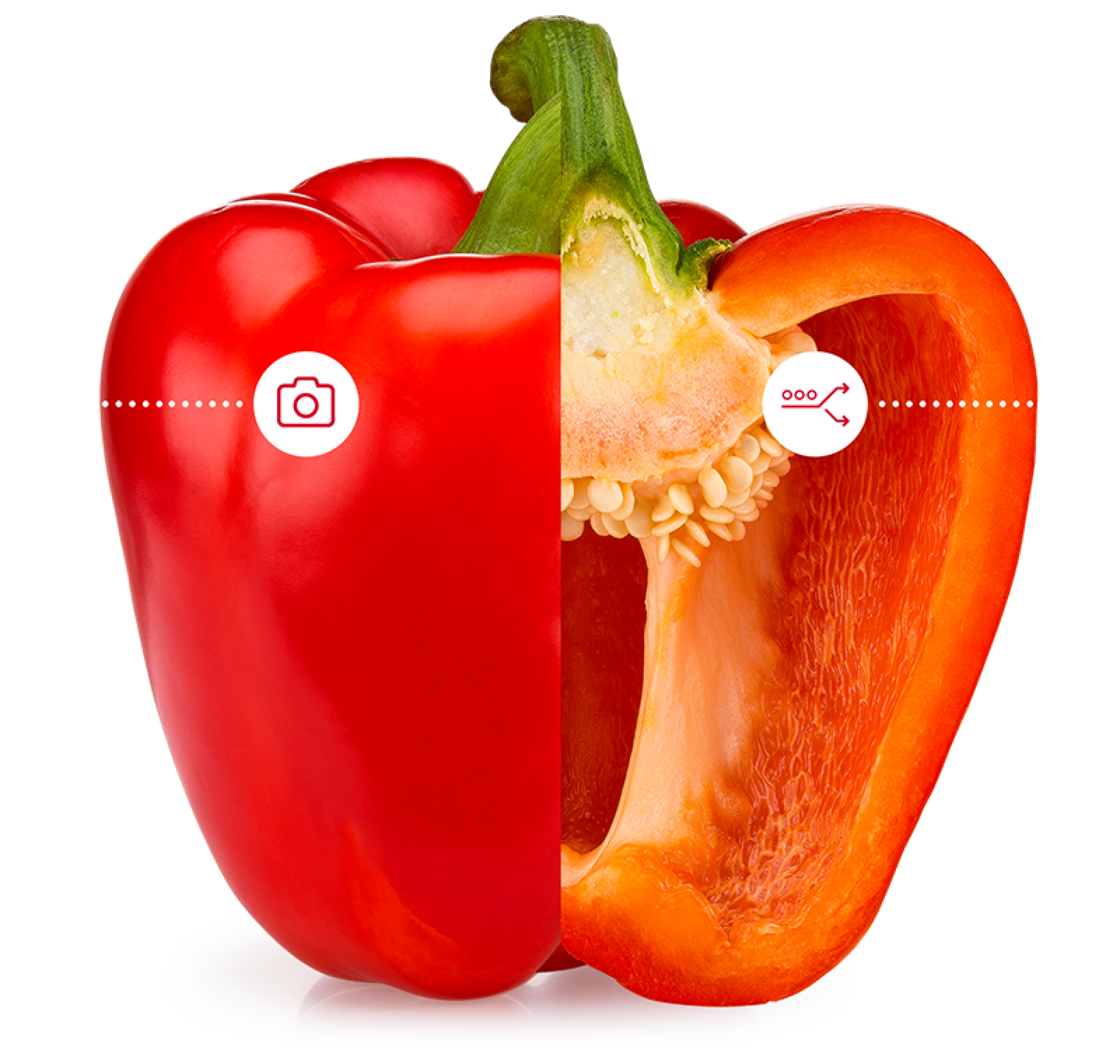Snijd je paprika in tweeën