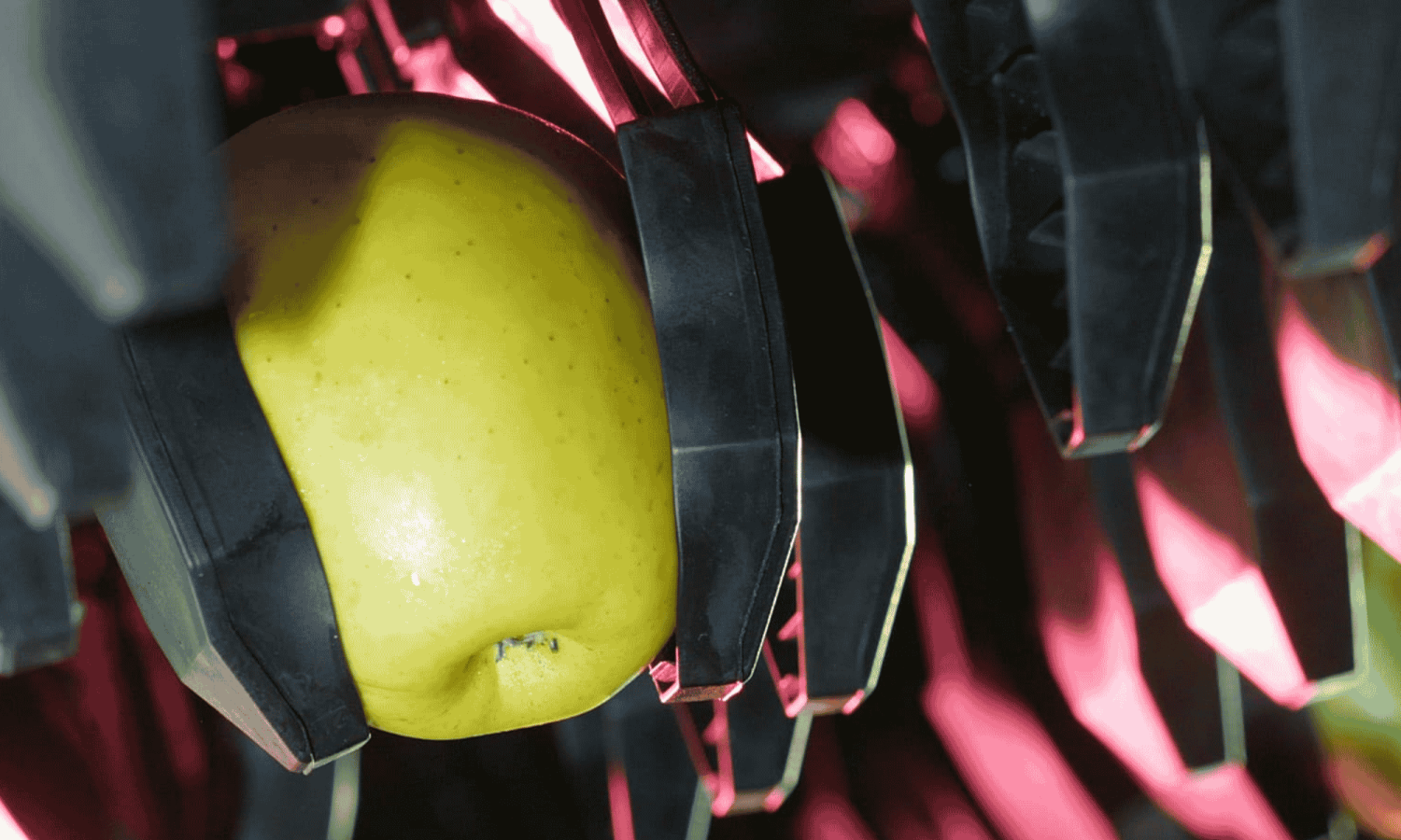 Aweta-Sensor zur Sortierung von Tomaten – Calistar