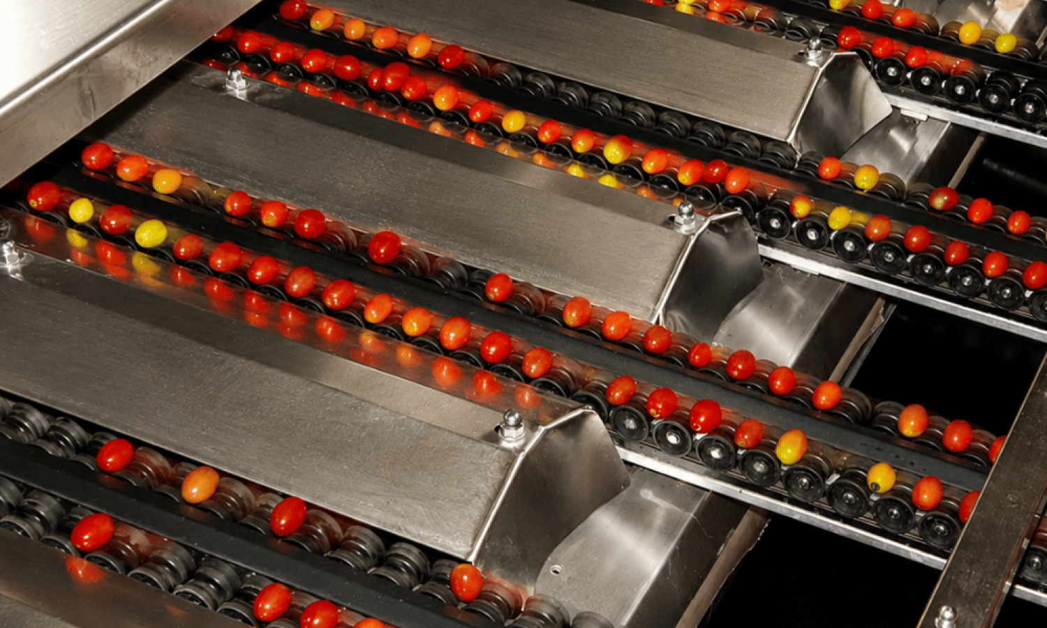 Sensore Millistar per la classificazione dei pomodori Aweta