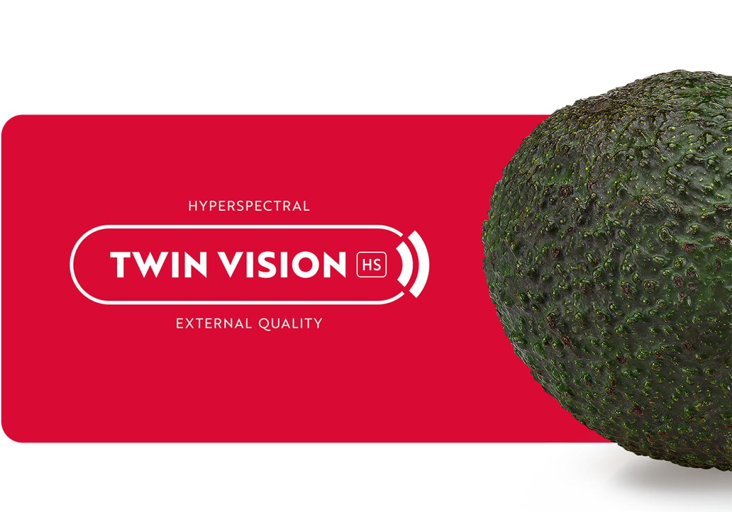 Aweta ermittelt die äußere Qualität von Avocados mit TwinVision