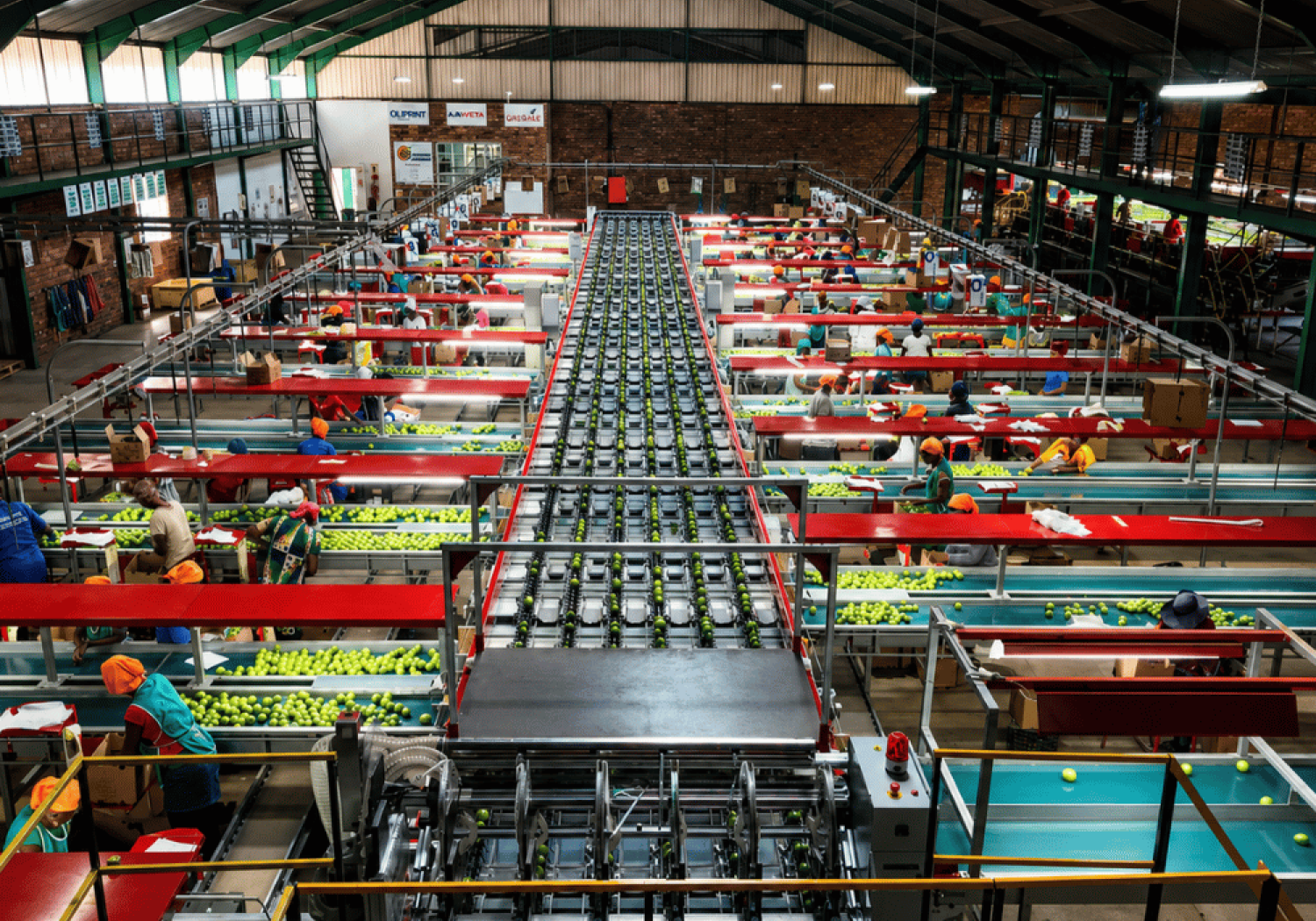 Aweta, afgestemd op uw producten en doelstellingen