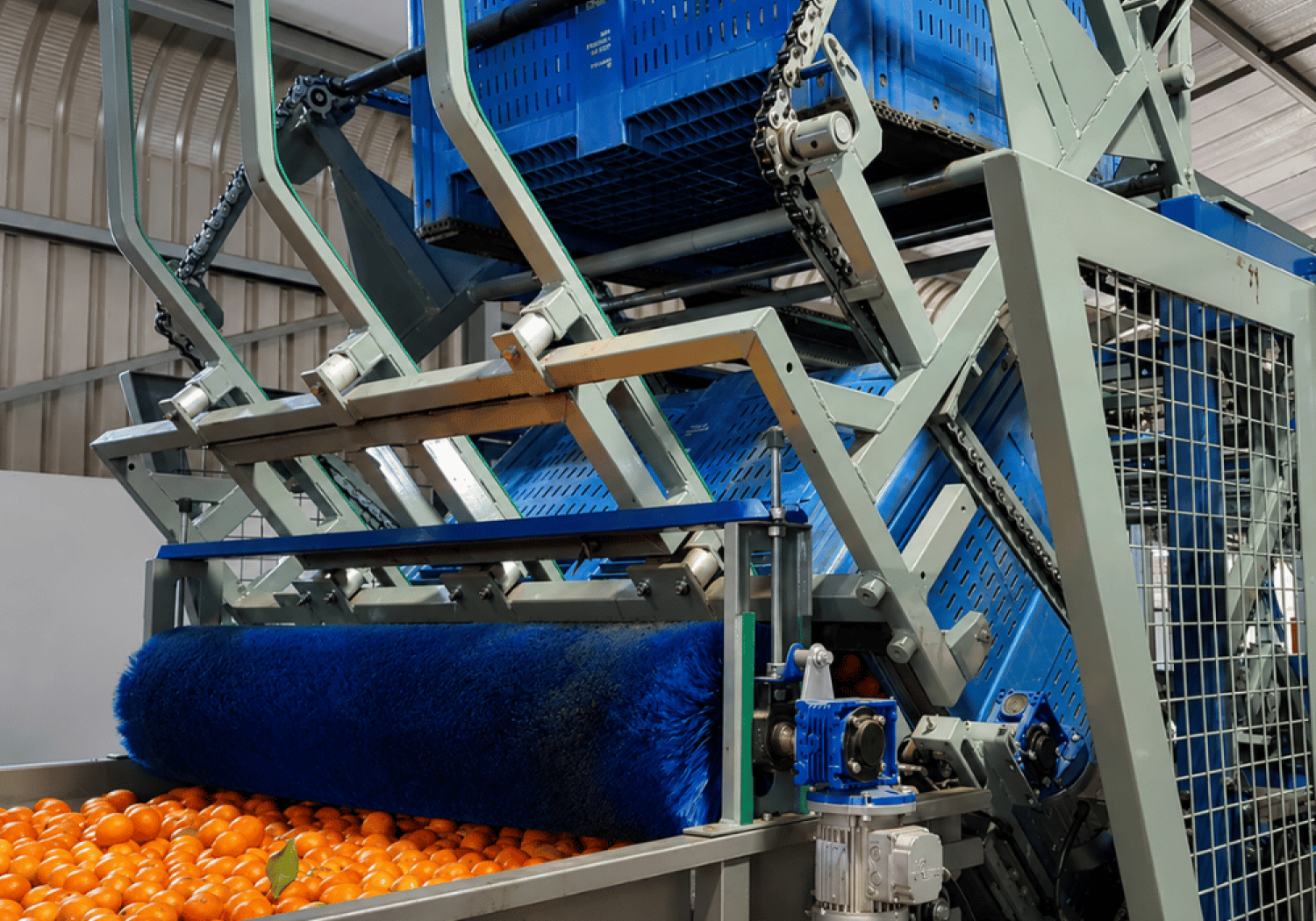 Aweta-kistkieper voor citrusvruchten in vruchtwisseling