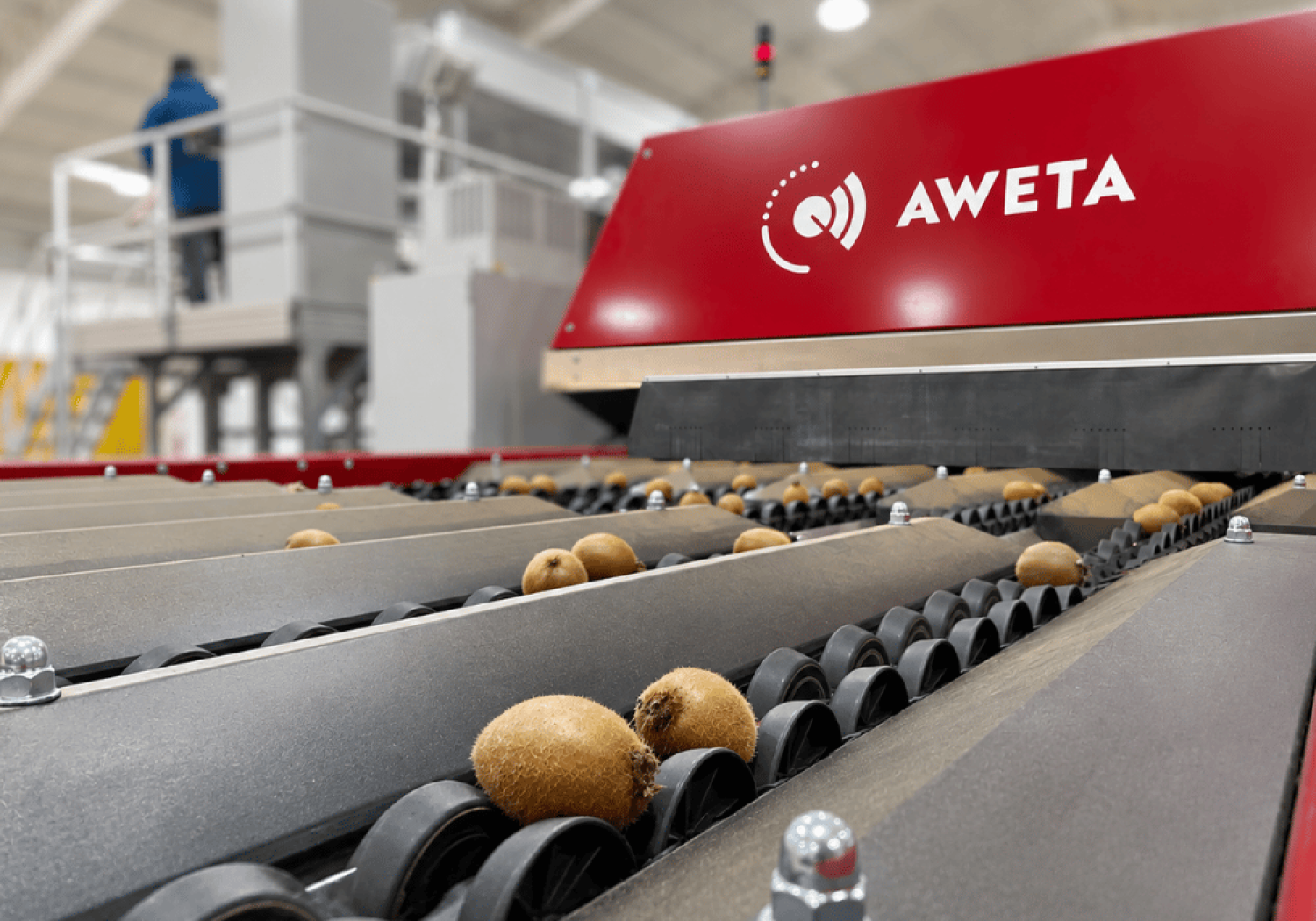 Aweta sviluppa un sistema di ispezione visiva avanzato per il controllo della qualità esterna dei kiwi