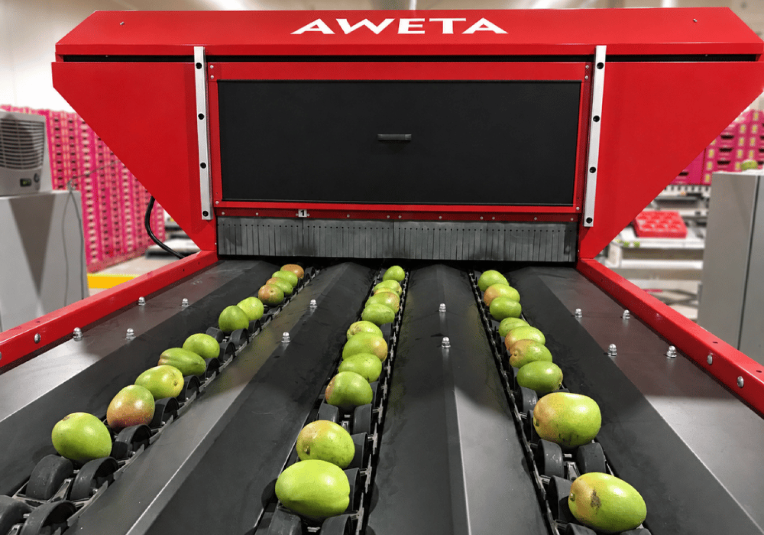 Aweta: valutazione della qualità esterna dei manghi con TwinVision