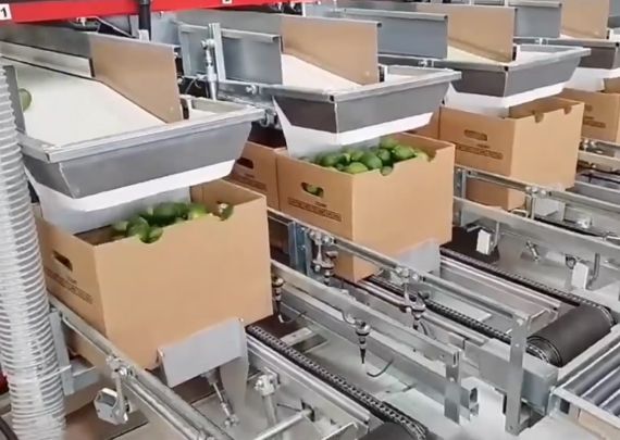 Il progetto Walero di Aweta, leader del settore
