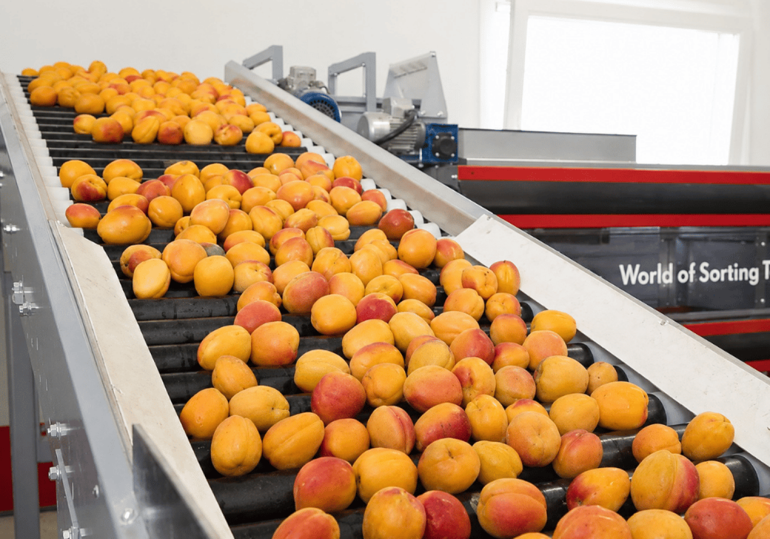 Aweta – Ihr Kippwagen für Tomaten