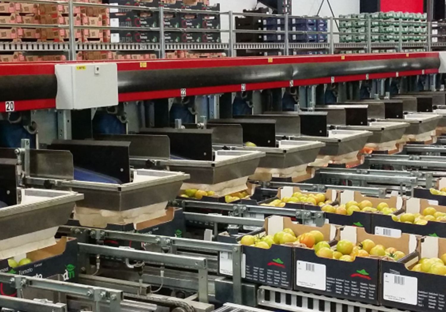 Aweta entwickelt Verpackungslösungen für Äpfel