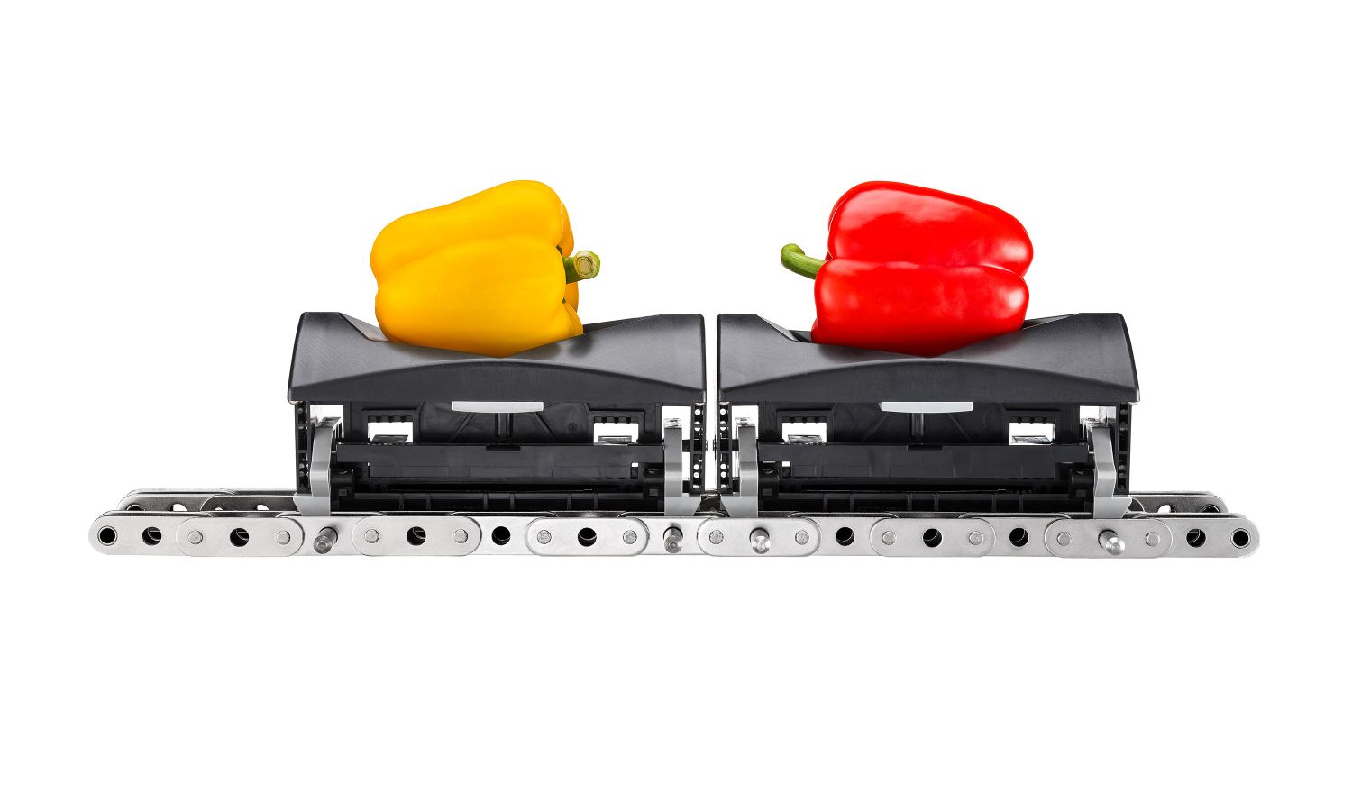 Aweta-sensor voor het sorteren van tomaten: Rollerstar