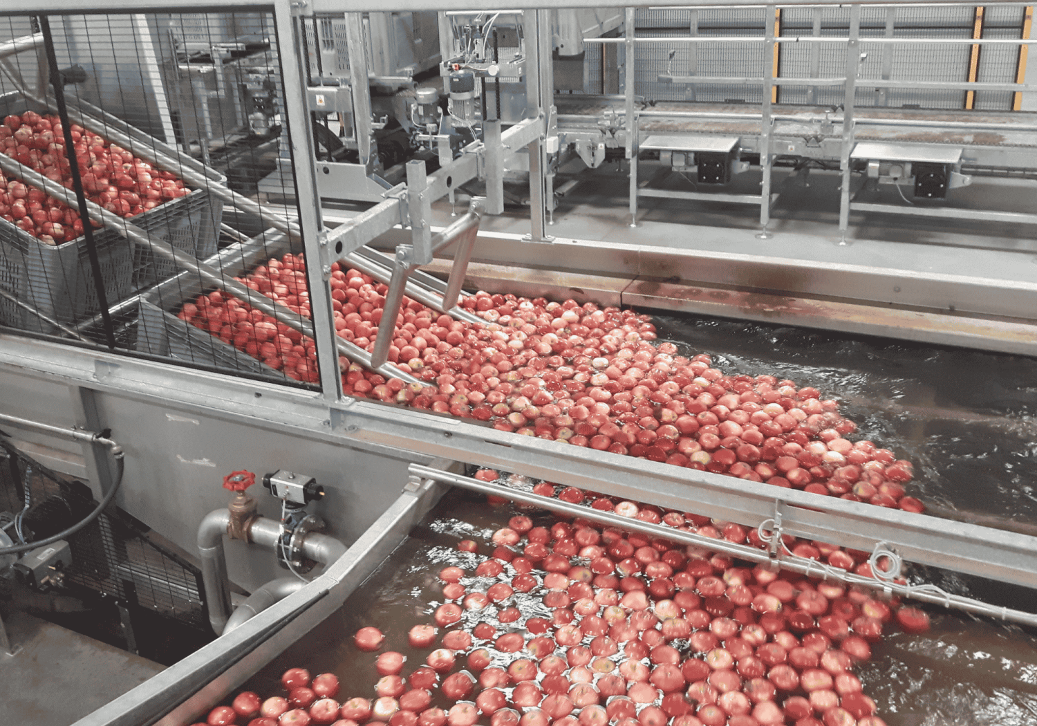 Aweta – Ihr Kippwagen für Obstkisten
