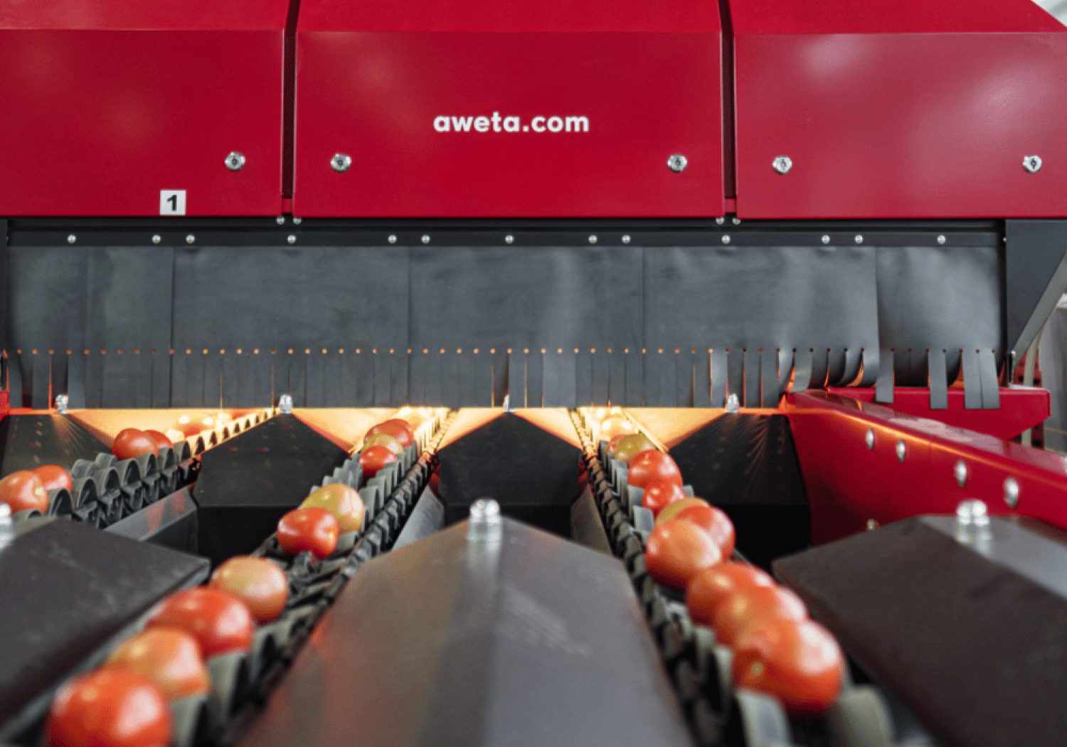 Aweta sviluppa un sistema di ispezione ottica avanzata per la valutazione della qualità esterna dei pomodori