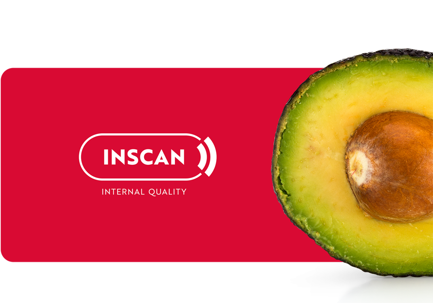 Aweta führt eine interne Qualitätsprüfung der Avocados durch