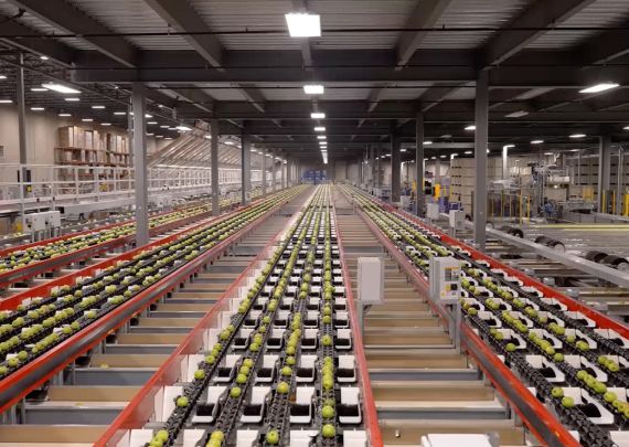 Aweta – die branchenführende, längste Apfelverpackungslinie der Welt
