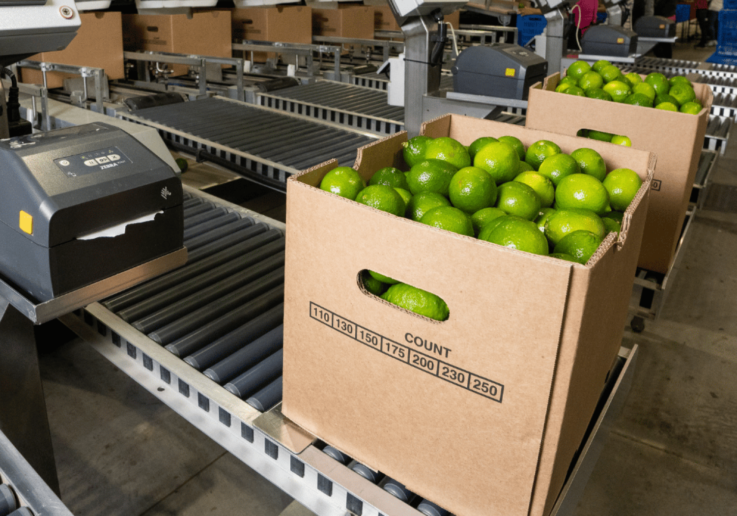 Aweta, afgestemd op uw producten en doelstellingen