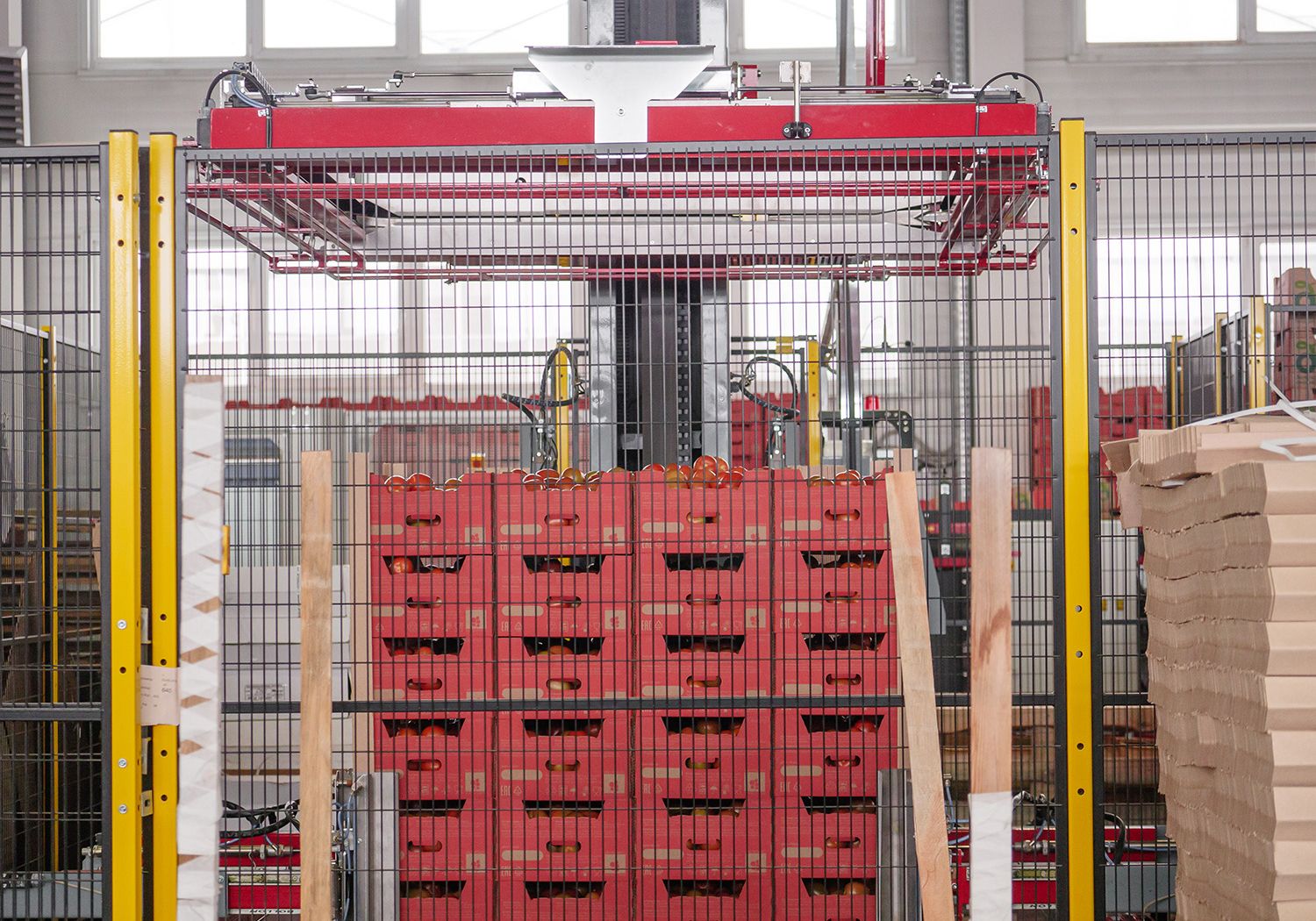 Aweta entwickelt Logistiklösung für die Apfelverpackung: Accuveyor