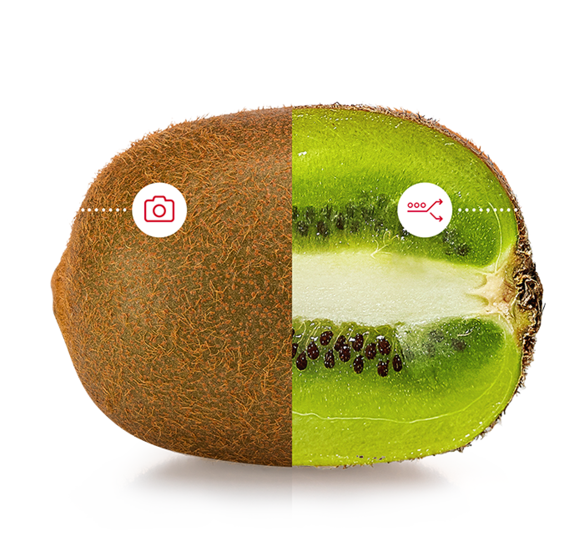 Taglia il tuo kiwi a metà, metà e metà