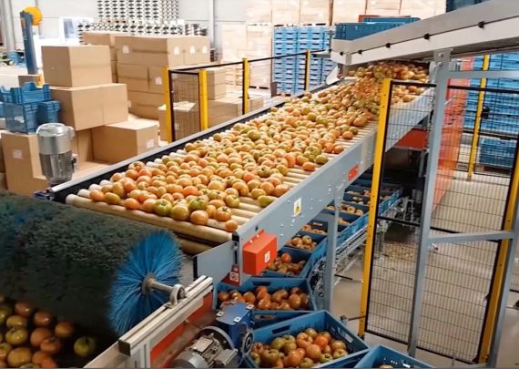 Das branchenführende Projekt „Desmet Beef Tomato“ von Aweta