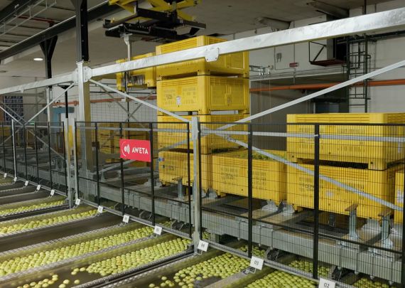 Das branchenführende Projekt „Agrintesa“ von Aweta