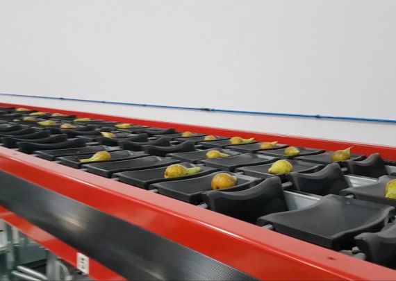 Das branchenführende „Pear“-Projekt von Aweta im Vereinigten Königreich