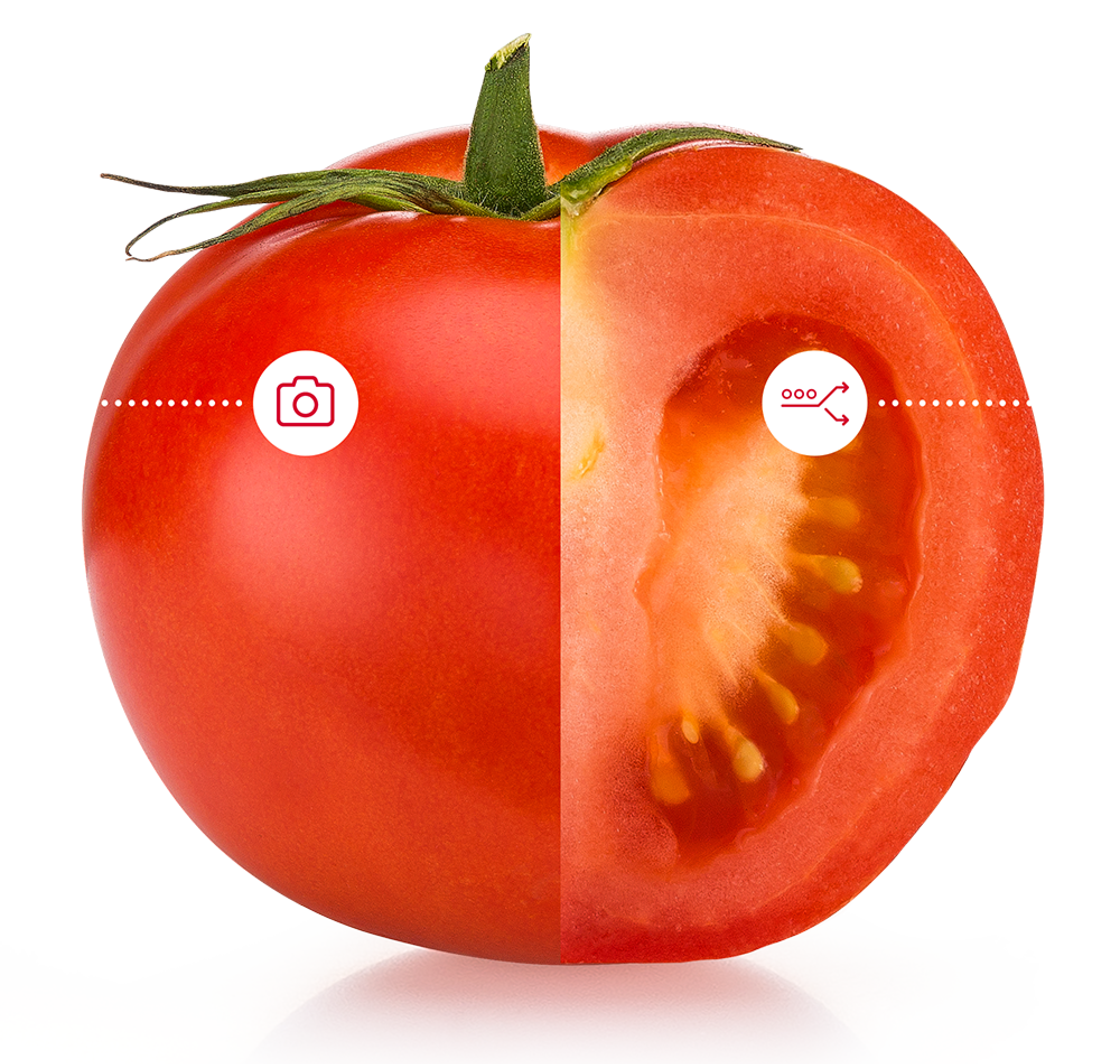 Aweta: taglia il pomodoro a metà in senso longitudinale