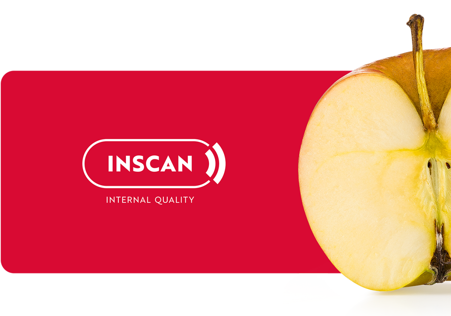 Aweta führt eine In-Scan-Prüfung der inneren Qualität von Äpfeln durch
