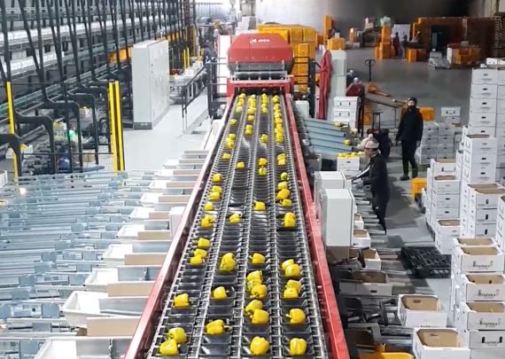 Das branchenführende Projekt „Haedampto“ von Aweta